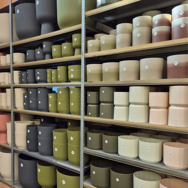 Shop kamerplanten én potten van elho bij GroenRijk de Wilskracht!