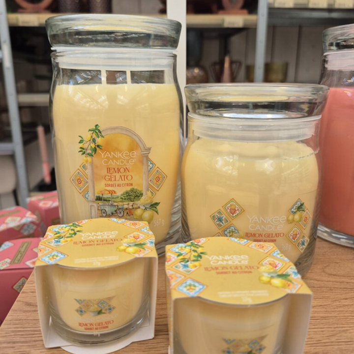 Yankee Candle kaars shoppen bij tuincentrum de Wilskracht! Yankee Candle kaars shoppen bij tuincentrum de Wilskracht!
