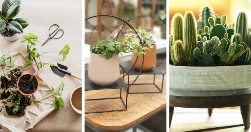 Arrangementen GroenRijk de Wilskracht