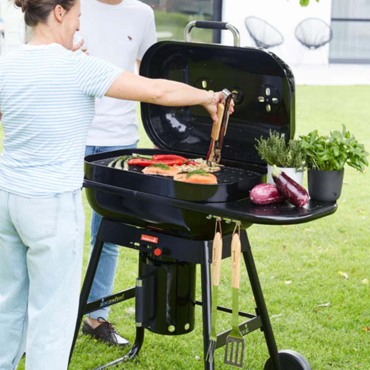Shop uw Barbecook BBQ bij tuincentrum GroenRijk de Wilskracht in Den Haag! Shop uw Barbecook BBQ bij tuincentrum GroenRijk de Wilskracht in Den Haag!