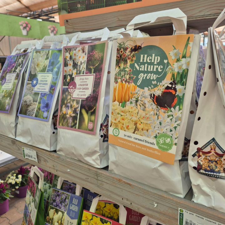 Shop bloembollen bij GroenRijk de Wilskracht! Shop bloembollen bij GroenRijk de Wilskracht!