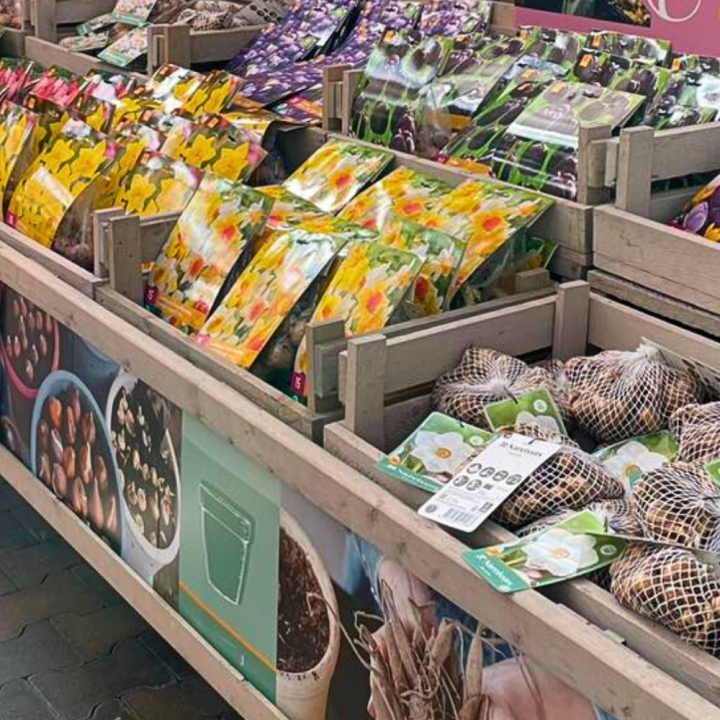 Koop bloembollen bij GroenRijk de Wilskracht! Koop bloembollen bij GroenRijk de Wilskracht!
