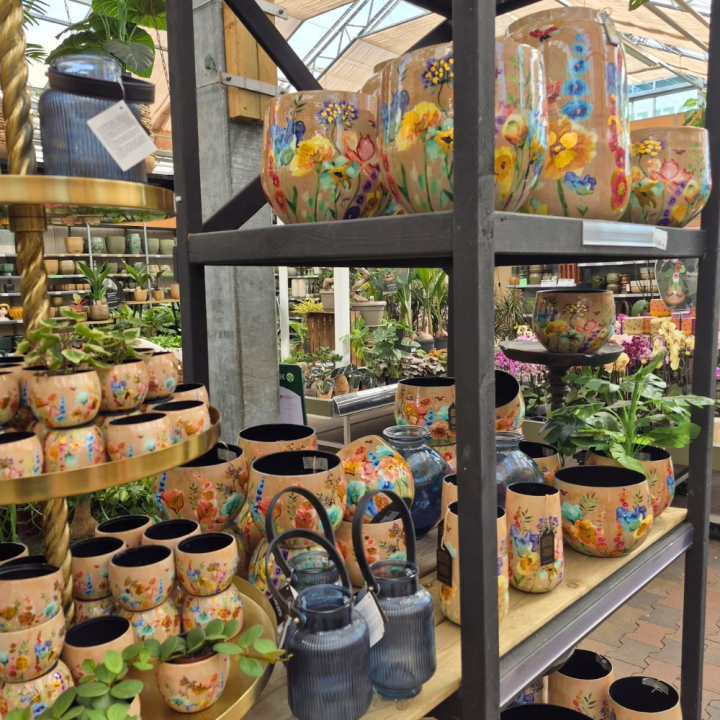 Bloempotten kopen bij tuincentrum de Wilskracht!
