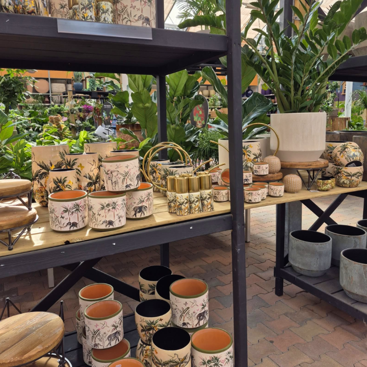 Bloempotten kopen bij tuincentrum de Wilskracht!
