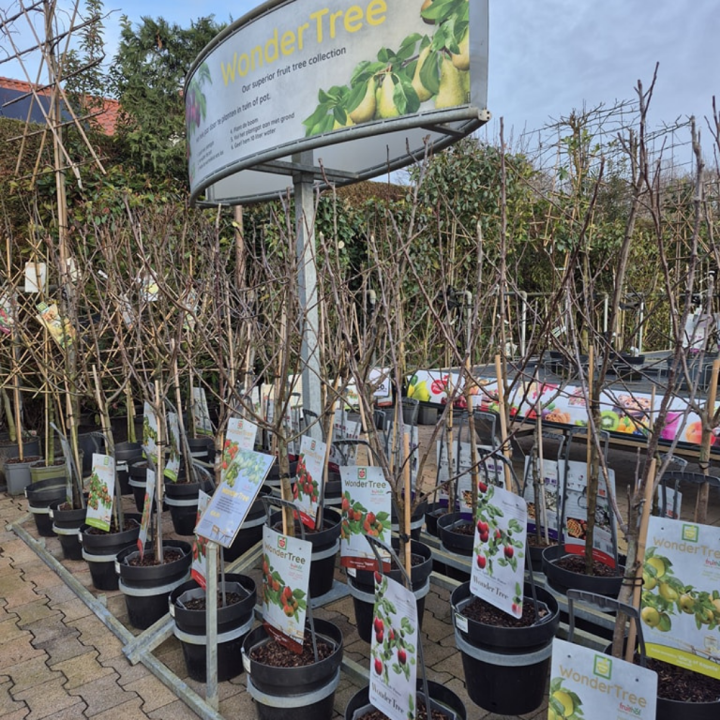 Shop fruit bij tuincentrum GroenRijk de Wilskracht!