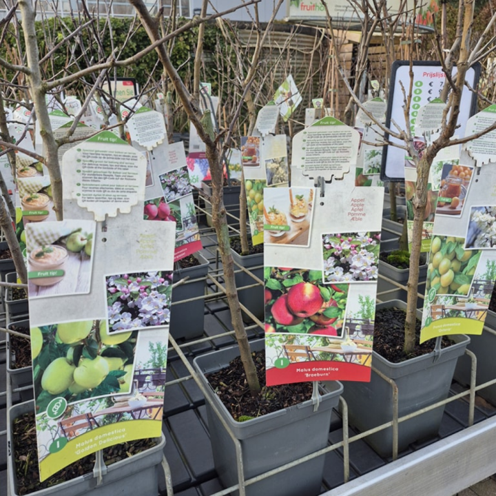 Shop fruit bij tuincentrum GroenRijk de Wilskracht!