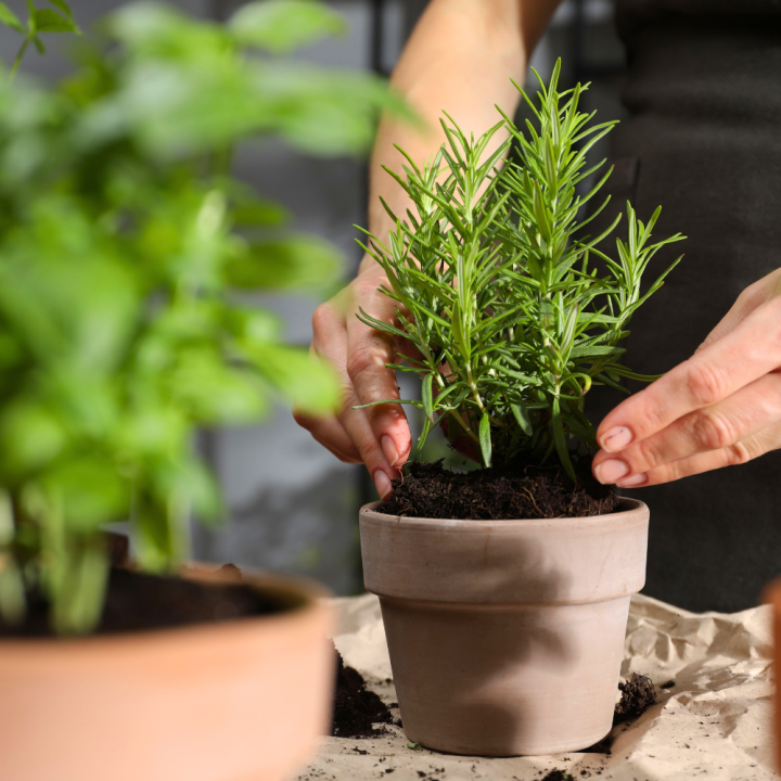 Grondproducten kopen bij tuincentrum de Wilskracht! Grondproducten kopen bij tuincentrum de Wilskracht!