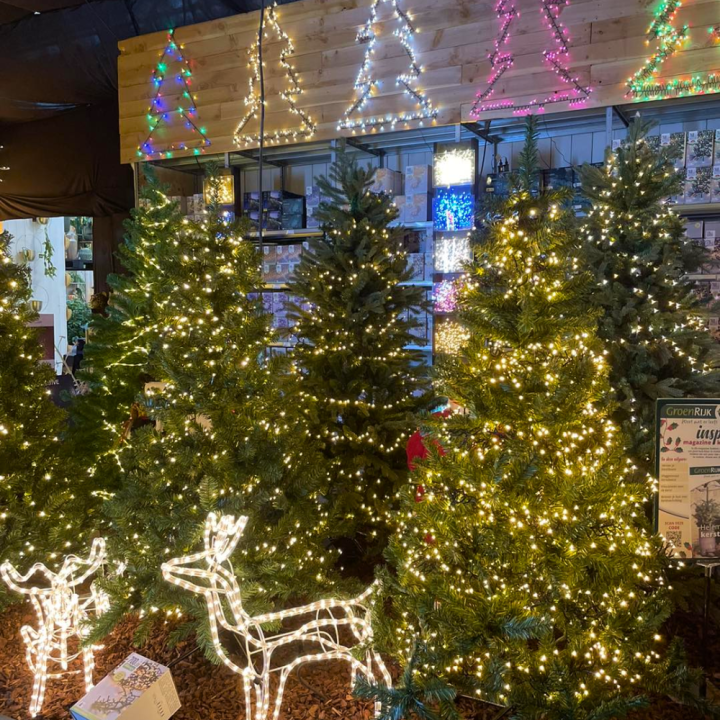 Kerstboomverlichting shoppen bij tuincentrum de Wilskracht! Kerstboomverlichting shoppen bij tuincentrum de Wilskracht!