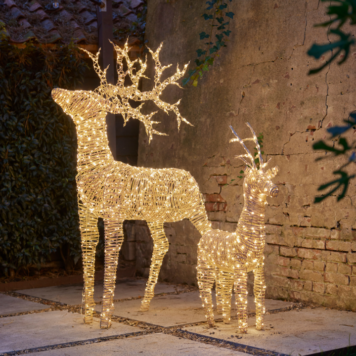 Kerstverlichting shoppen bij tuincentrum de Wilskracht! Kerstverlichting shoppen bij tuincentrum de Wilskracht!