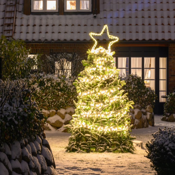 Kerstverlichting shoppen bij tuincentrum de Wilskracht! Kerstverlichting shoppen bij tuincentrum de Wilskracht!