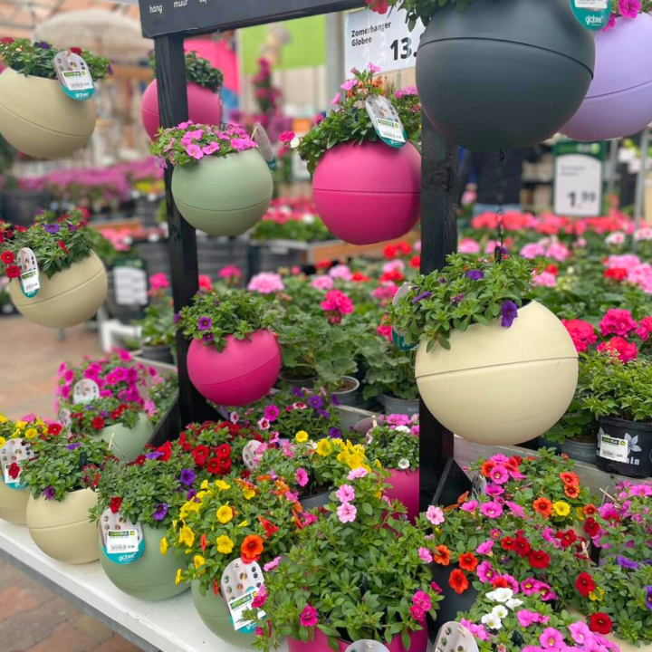 Shop perkplanten bij tuincentrum GroenRijk de Wilskracht!