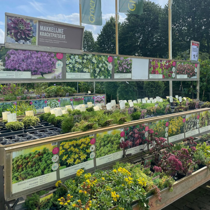 Shop tuinplanten bij GroenRijk de Wilskracht!