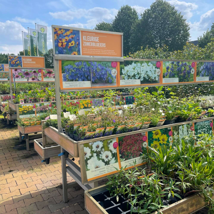 Shop vaste planten bij tuincentrum GroenRijk de Wilskracht!