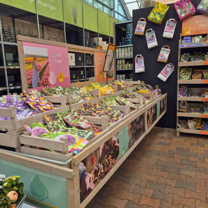 Voorjaarsbollen kopen bij tuincentrum de Wilskracht!