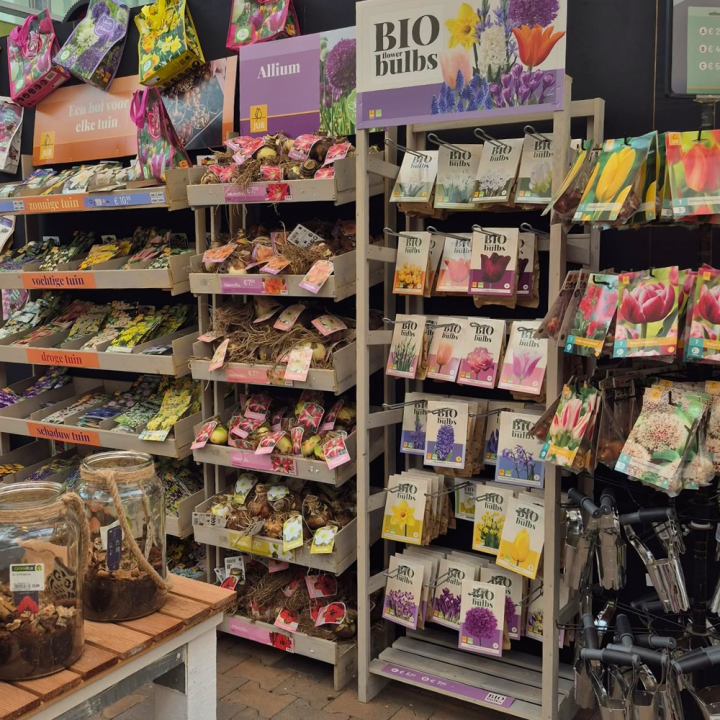 Voorjaarsbollen kopen bij tuincentrum de Wilskracht!