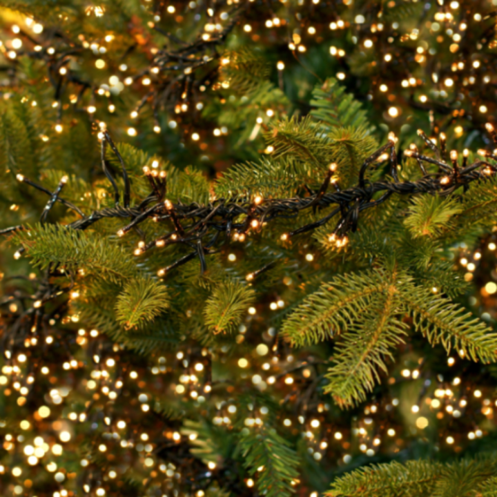 Kerstverlichting shoppen bij tuincentrum de Wilskracht! Kerstverlichting shoppen bij tuincentrum de Wilskracht!