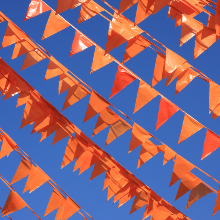 WK artikelen 2026 kopen? | Oranje decoratie bij GroenRijk de Wilskracht WK artikelen 2026 kopen? | Oranje decoratie bij GroenRijk de Wilskracht