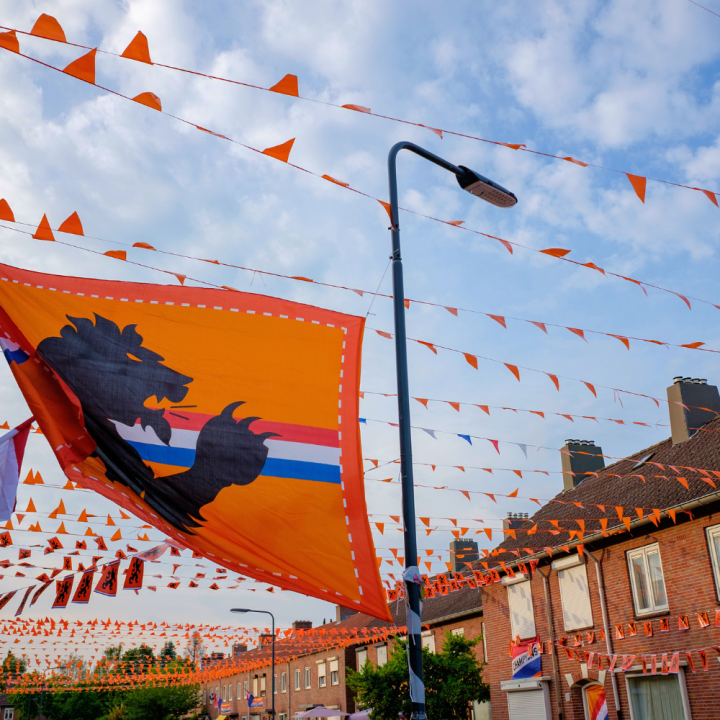 WK artikelen 2026 kopen? | Oranje decoratie bij GroenRijk de Wilskracht WK artikelen 2026 kopen? | Oranje decoratie bij GroenRijk de Wilskracht