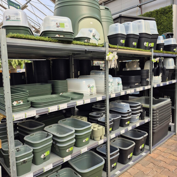 Shop zaden bij GroenRijk de Wilskracht!