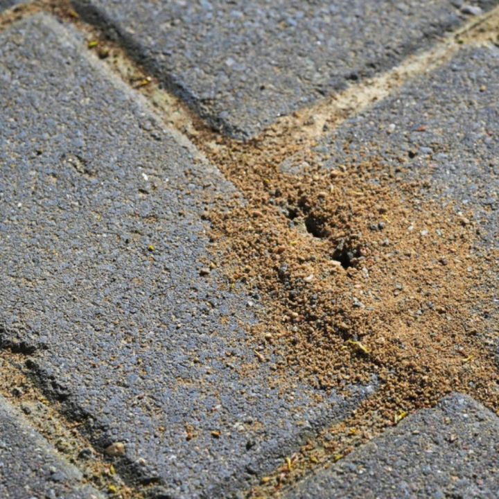 Zand kopen bij tuincentrum de Wilskracht in Den Haag!