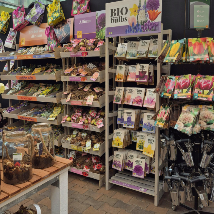 Zomerbollen shoppen bij tuincentrum de Wilskracht! Zomerbollen shoppen bij tuincentrum de Wilskracht!