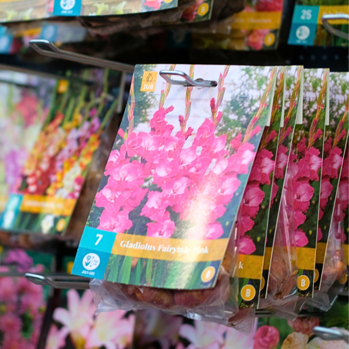 Zomerbollen kopen? Tuincentrum de Wilskracht in Den Haag! Zomerbollen kopen? Tuincentrum de Wilskracht in Den Haag!