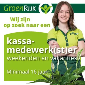 Kassa medewerk(st)er voor de zondag