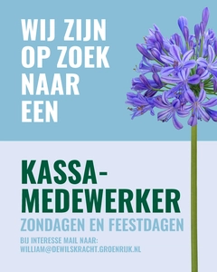 Kassa medewerk(st)er voor de zondagen, feestdagen en vakantie