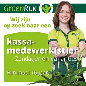 Kassa medewerk(st)er voor zondagen en de vakantieperiode