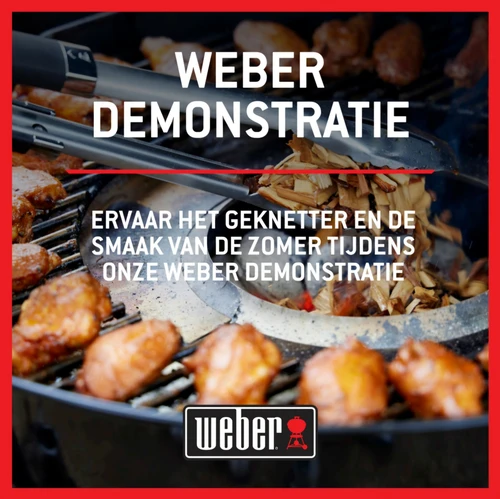 25 april: Weber demonstratie
