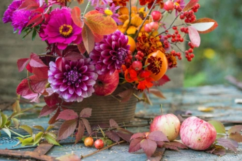 De vijf mooiste bloemen voor het perfecte herfstboeket