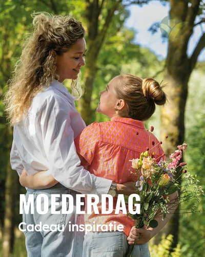 Moederdag bij GroenRijk de Wilskracht: verras haar met iets bijzonders