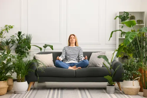 Planten tegen de herfstblues: deze soorten zorgen voor extra positiviteit