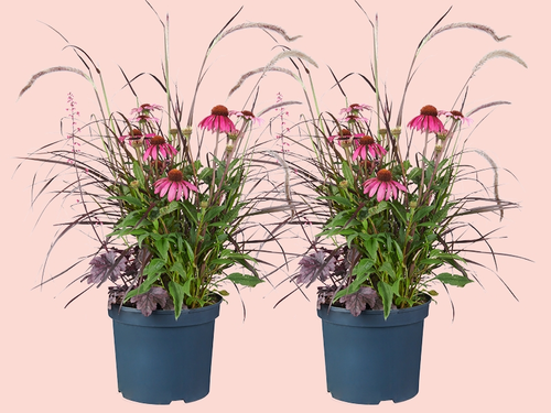 Triple Beauty: Drie toppers in één pot