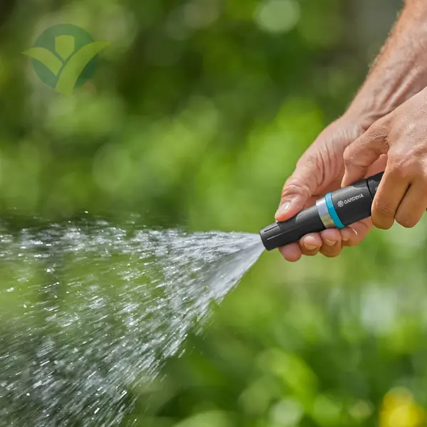 Vijf tips je tuin groen te deze zomer! GroenRijk de Wilskracht