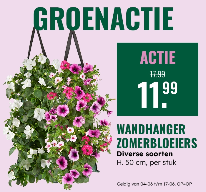 Groenactie: Wandhanger zomerbloeiers