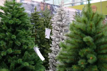 Kerstshow 2026
