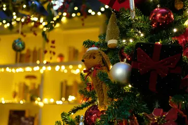 Kerstshow 2026