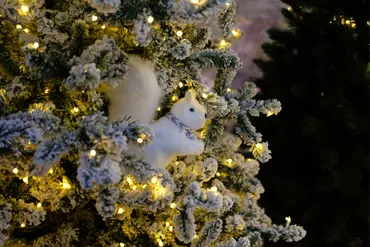 Kerstshow 2026