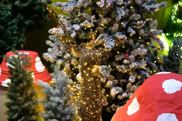 Kerstshow 2026