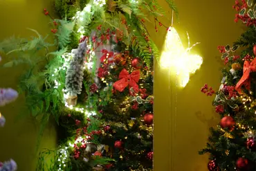 Kerstshow 2026