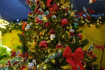 Kerstshow 2026