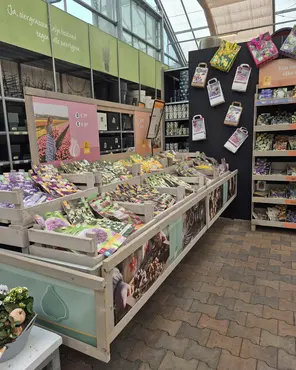 Ontdek onze tuinplantenafdeling!