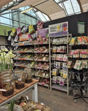 Ontdek onze tuinplantenafdeling!