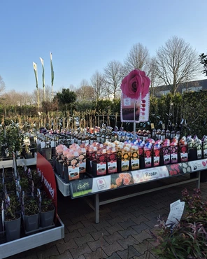 Ontdek onze tuinplantenafdeling!