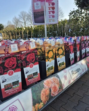 Ontdek onze tuinplantenafdeling!