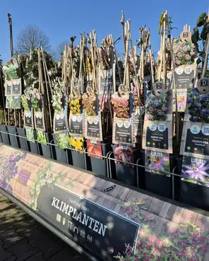 Ontdek onze tuinplantenafdeling!