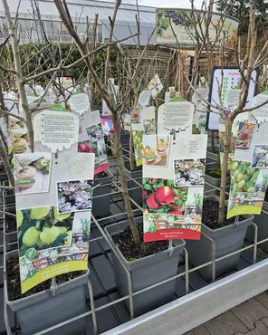 Ontdek onze tuinplantenafdeling!