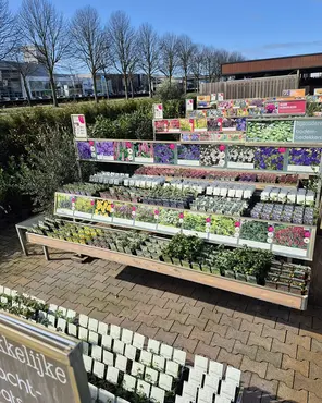 Ontdek onze tuinplantenafdeling!
