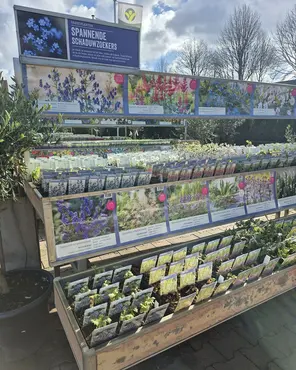 Ontdek onze tuinplantenafdeling!